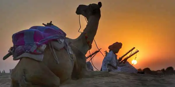 1 Day Jaisalmer Tour Package