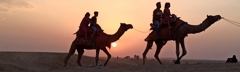 camel safari jaisalmer